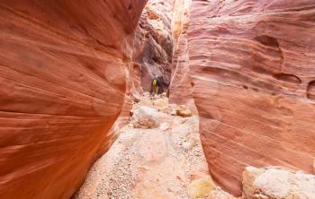 Slot canyon in Grand Staircase Escalante National park, Utah, USA. Unusual colorful sandstone formations in deserts of Utah are popular destination for hikers. Living coral toned.