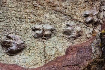 Dinosaur footprint in Peru
