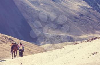 Authentic guide service in Vinicunca, Cusco Region, Peru. Montana de Siete Colores, Rainbow Mountain.