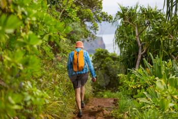 Hiker on the trail in green jungle, Hawaii, USA