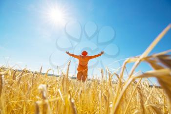 Happy man in yellow wheat field