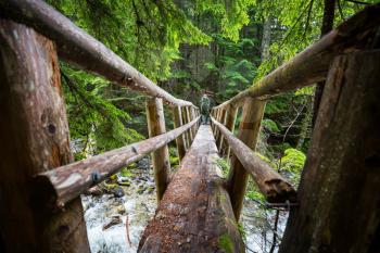 Wooden bridge over a mountains creek