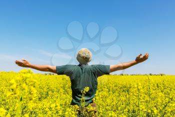 Happy man in the yellow field