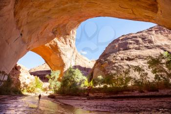 Jacob Hamblin Arch in Coyote Gulch, Grand Staircase-Escalante National Monument, Utah, United States