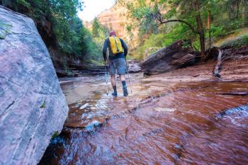 Hike in Zion National Park, man hiking in Zion narrow with Vrgin river in summer season, Zion National park,Utah