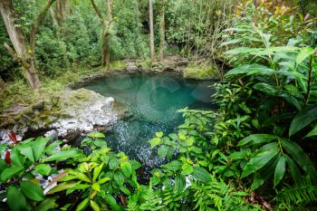 Fresh Pool in green tropical jungle on Hawaii island