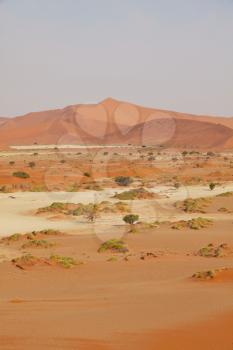 Sand dunes in Namib desert, Africa, Namibia