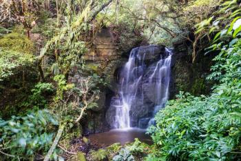Beautiful small waterfall in green jungle, Costa Rica. Central America