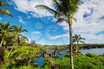 Beautiful tropical landscapes on Maui island, Hawaii