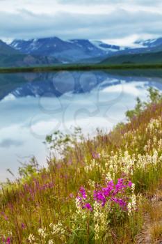 Serenity lake in Alaskan tundra.