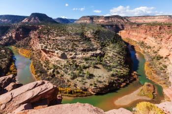 Green river in Colorado state, USA
