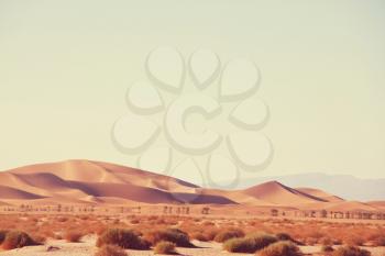 Scenic sand dunes in desert