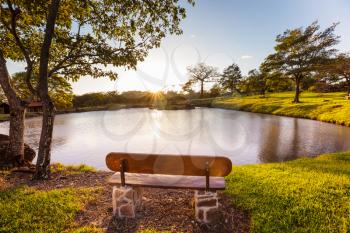 Wooden bench on beautiful green lake shore