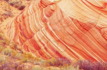 Sandstone formations in Utah, USA. Beautiful Unusual landscapes. Living coral color toning.