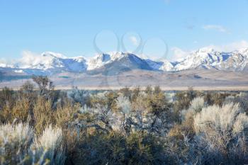 American landscapes- prairie along Sierra Nevada mountains, California, USA.