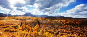 Scenic view of Sierra Nevada Mountain. fall foliage landscape. California,USA.
