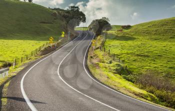 Scenic Road among green hills in  New Zealand.