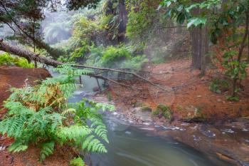 Thermal waterfall on Kerosene creek, Rotorua, New Zealand. Unusual natural landscapes