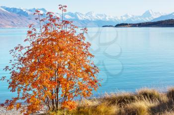 Autumn season in New Zealand mountains