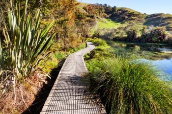 Boardwalk on the lake in tropical forest, New Zealand
