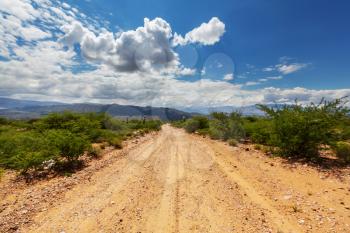 Beautiful natural landscapes in Northern Argentina. Gravel road among cactus.