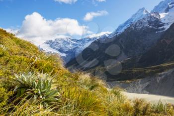 Beautiful natural landscapes in Mount Cook National Park, South Island, New Zealand
