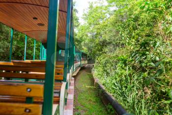 Vacation and travel concept. Locomotive with touristic train cars moving along railroad track in green jungle