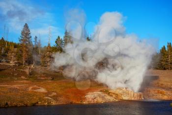 Eruption of Riverside Geyser on Firehole river in Yellowstone National Park, Wyoming, USA. Beautiful american landscapes