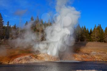 Eruption of Riverside Geyser on Firehole river in Yellowstone National Park, Wyoming, USA. Beautiful american landscapes