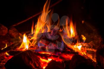 Campfire on the night party