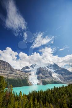 Beautiful Berg lake and Mount Robson in summer season, Canada