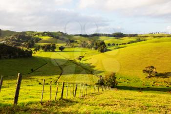 Beautiful rural  landscape of the New Zealand - green hills and trees