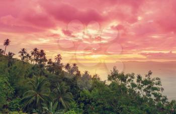 Tropical landscapes-rainforest and beautiful ocean at sunset. Holiday background.