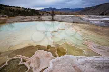 Mammoth Hot Spring in the Northern entrance of Yellowstone National Park, Wyoming, USA