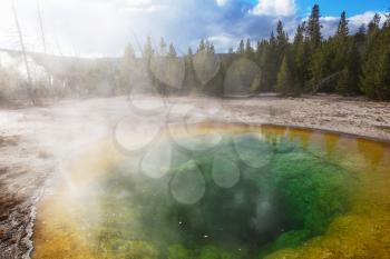 Colorful Morning Glory Pool - famous hot spring in the Yellowstone National Park, Wyoming, USA