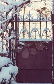 Garden gate in winter season