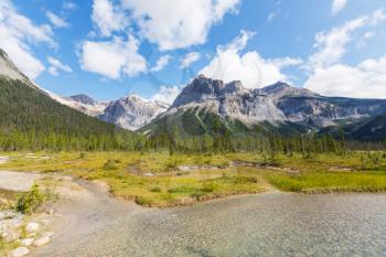 Picturesque Canadian mountains in summer