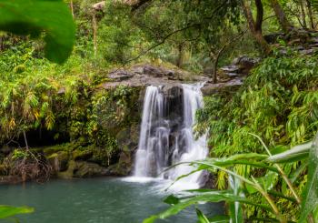 Beautiful waterfall in tropical rainforest in Hawaii island, USA