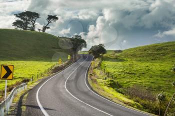 Scenic Road among green hills in  New Zealand.