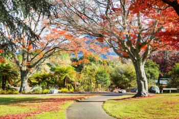 beautiful colorful trees and pond in autumn park, New Zealand