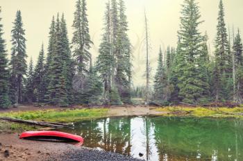 Red Canoe on green lake in forest