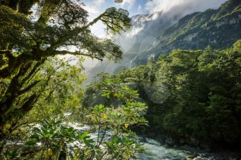 New Zealand River in the valley, beautiful mountains landscapes