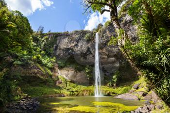 beautiful waterfall in green rainforest, New Zealand
