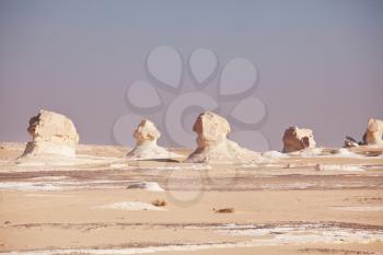 Beautiful chalk formation in White desert, Egypt, Africa