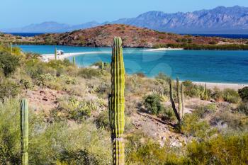 Beautuful Baja California landscapes, Mexico. Travel background, concept 