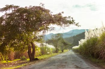 Rural road along sugar cane fields in mountains, Mexico