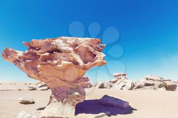 Arbol de piedra - Stone tree rock formation in Bolivia (Arbol de Piedra) of the Uyuni Salt Flat, South America