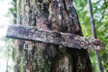 Sign post for Pacific Crest Trail. Famous hiking trail in North America.