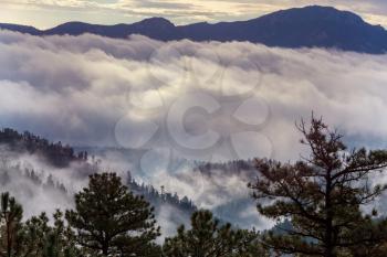 Fog in the high mountains