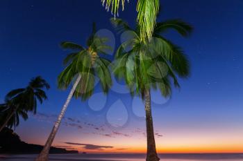 Beautiful fantasy tropical beach at the dark